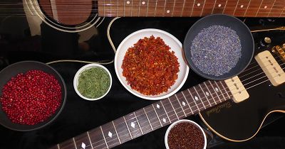 Guitar & Spices